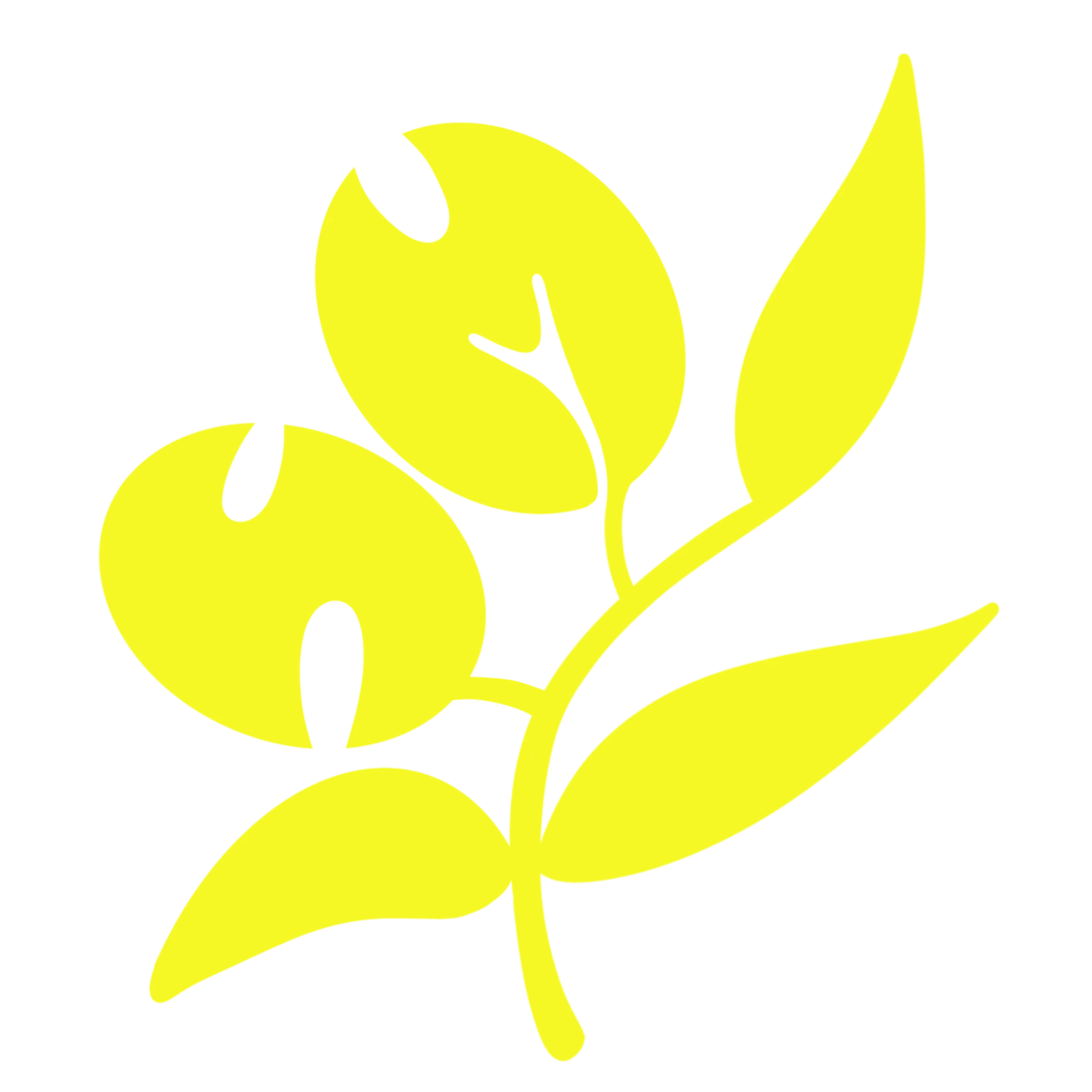 Save Marajim Logo